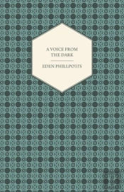 A Voice From The Dark