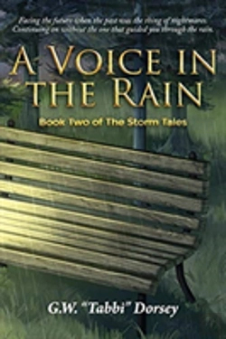 Bertrand.pt - A Voice In The Rain