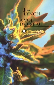 A Vol D Oiseau