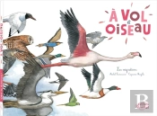 À Vol D'Oiseau ; Les Migrations