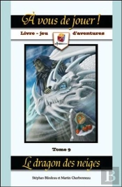 A Vous De Jouer T.9 - Le Dragon Des Neiges