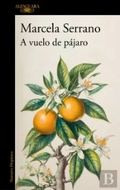 A Vuelo De Pajaro