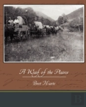 A Waif Of The Plains
