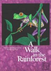 A Walk In The Rainforest