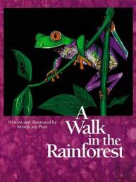 A Walk In The Rainforest