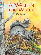 A Walk In The Woods Coloring Book