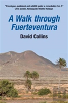 A Walk Through Fuerteventura