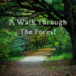 Bertrand.pt - A Walk Through The Forest