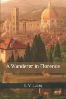 A Wanderer In Florence