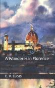 A Wanderer In Florence