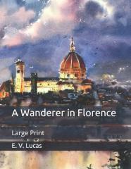 A Wanderer In Florence