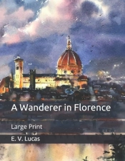 A Wanderer In Florence