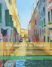 A Wanderer In Venice