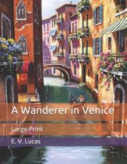 A Wanderer In Venice