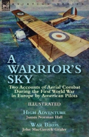 A Warrior'S Sky