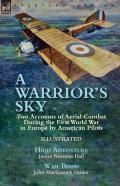 A Warrior'S Sky