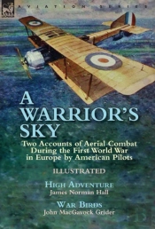 A Warrior'S Sky