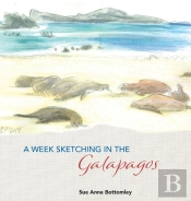A Week Sketching In The Galapagos