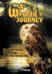 A Weelad'S Journey