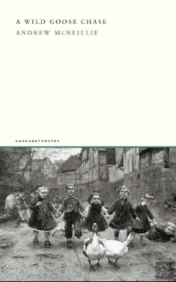 Bertrand.pt - A Wild Goose Chase