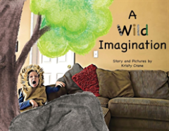 A Wild Imagination