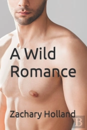A Wild Romance