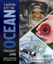 A Window Into The Ocean Twilight Zone