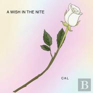 A Wish In The Nite