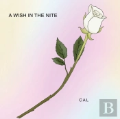 A Wish In The Nite