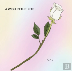 Bertrand.pt - A Wish In The Nite