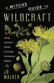 A Witch'S Guide To Wildcraft