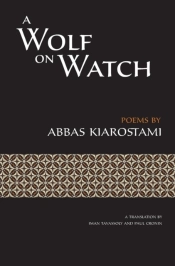A Wolf On Watch