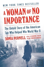 A Woman Of No Importance