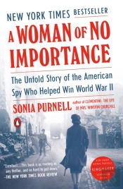 A Woman Of No Importance