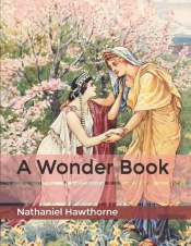 A Wonder Book
