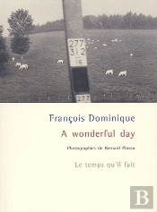 A Wonderful Day
