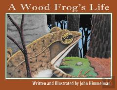 A Wood Frog'S Life
