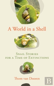 A World In A Shell