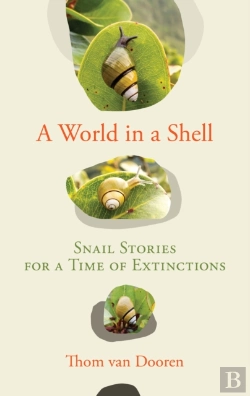 Bertrand.pt - A World In A Shell