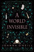 A World Invisible