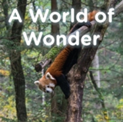 Bertrand.pt - A World Of Wonder