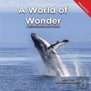 A World Of Wonder