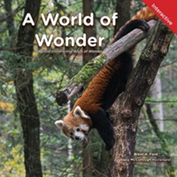 Bertrand.pt - A World Of Wonder