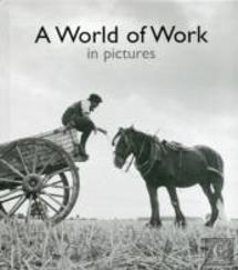 A World Of Work In Pictures