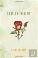 A World Without Why