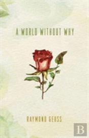 A World Without Why