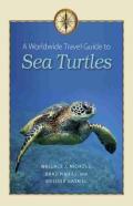 A Worldwide Travel Guide To Sea Turtles