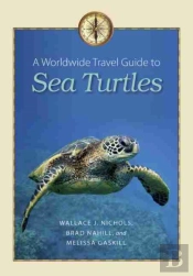 A Worldwide Travel Guide To Sea Turtles