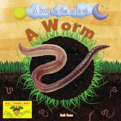 Bertrand.pt - A Worm
