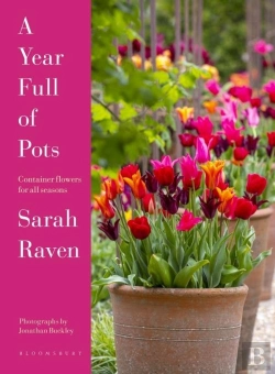 Bertrand.pt - A Year Full Of Pots